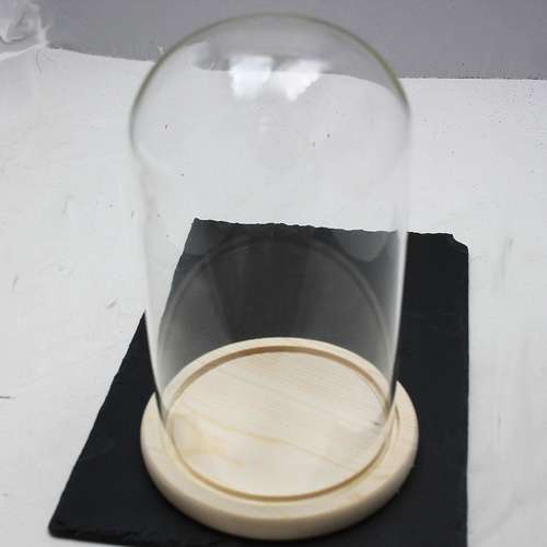 A 12x21cm Glass Dome