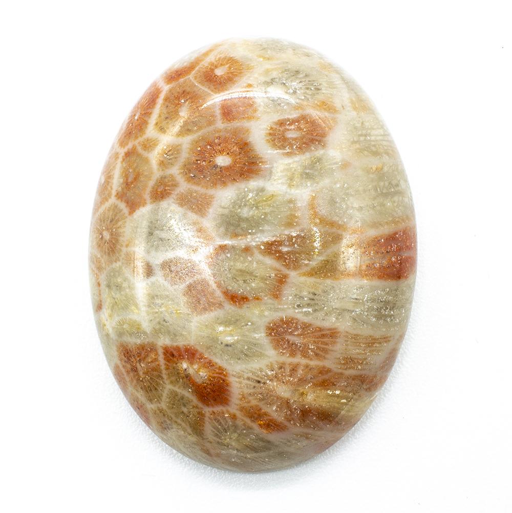 Gemstone Oval Cabochon - Coral Fossil 40mm