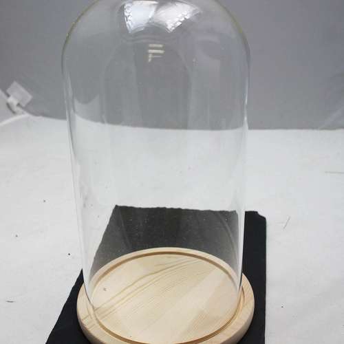 A 15x30cm Glass Dome