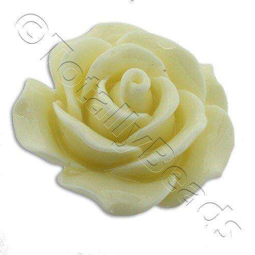 Acrylic Rose 25mm 1 Row - Cream