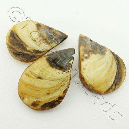 Shell Drop 25mm - Brown - 12 pieces