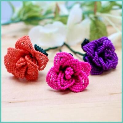 Summer Roses - 22nd August