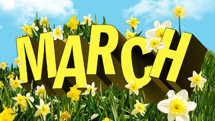 March Newsletter 2024