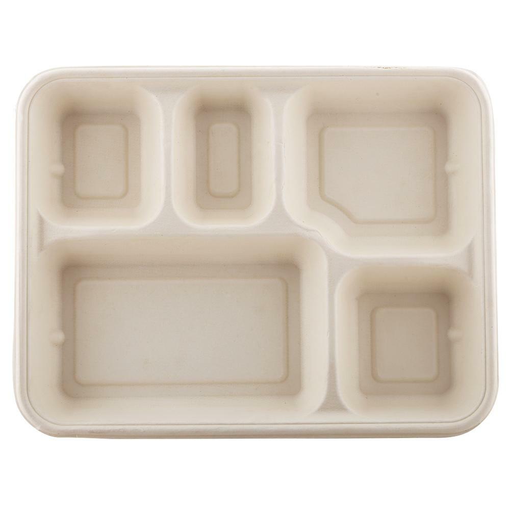 Sugarcane Bagasse Biodegradable 5 Section Plates [Pack of 5]