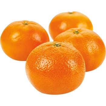 Clementines 1 pack