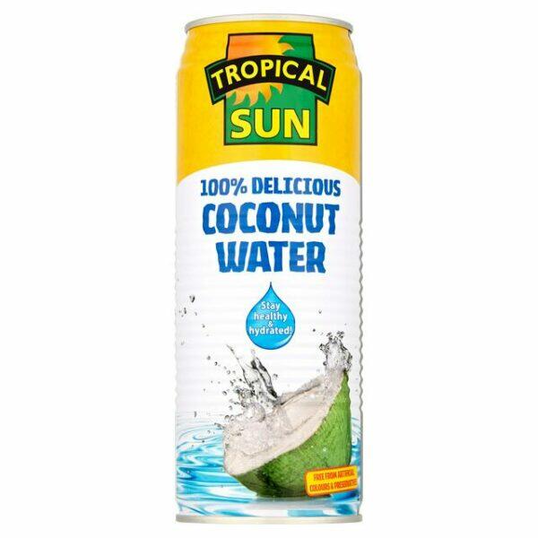 Tropical Sun Coconut Water 500ml