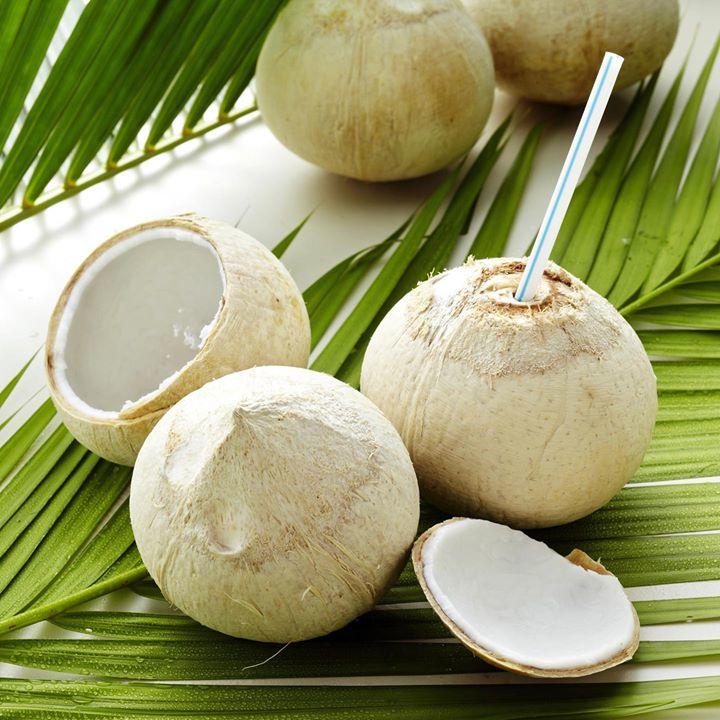 Fresh Young Coconut 1 piece