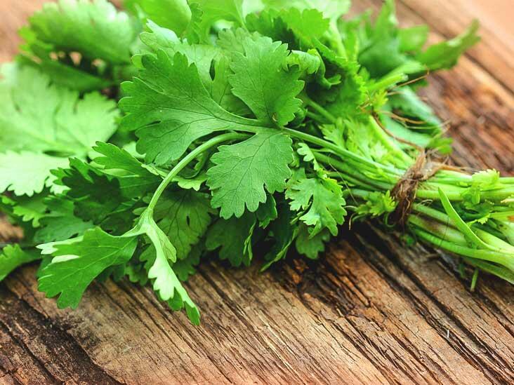 Coriander Leaves Fresh 1 Bunch