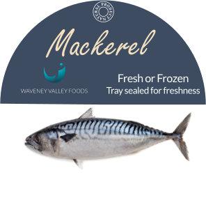 Fresh Mackerel