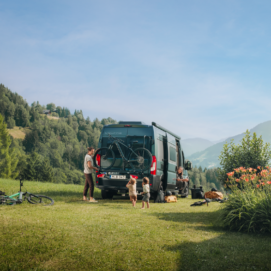 Thule VeloTrack on  Ducato Van