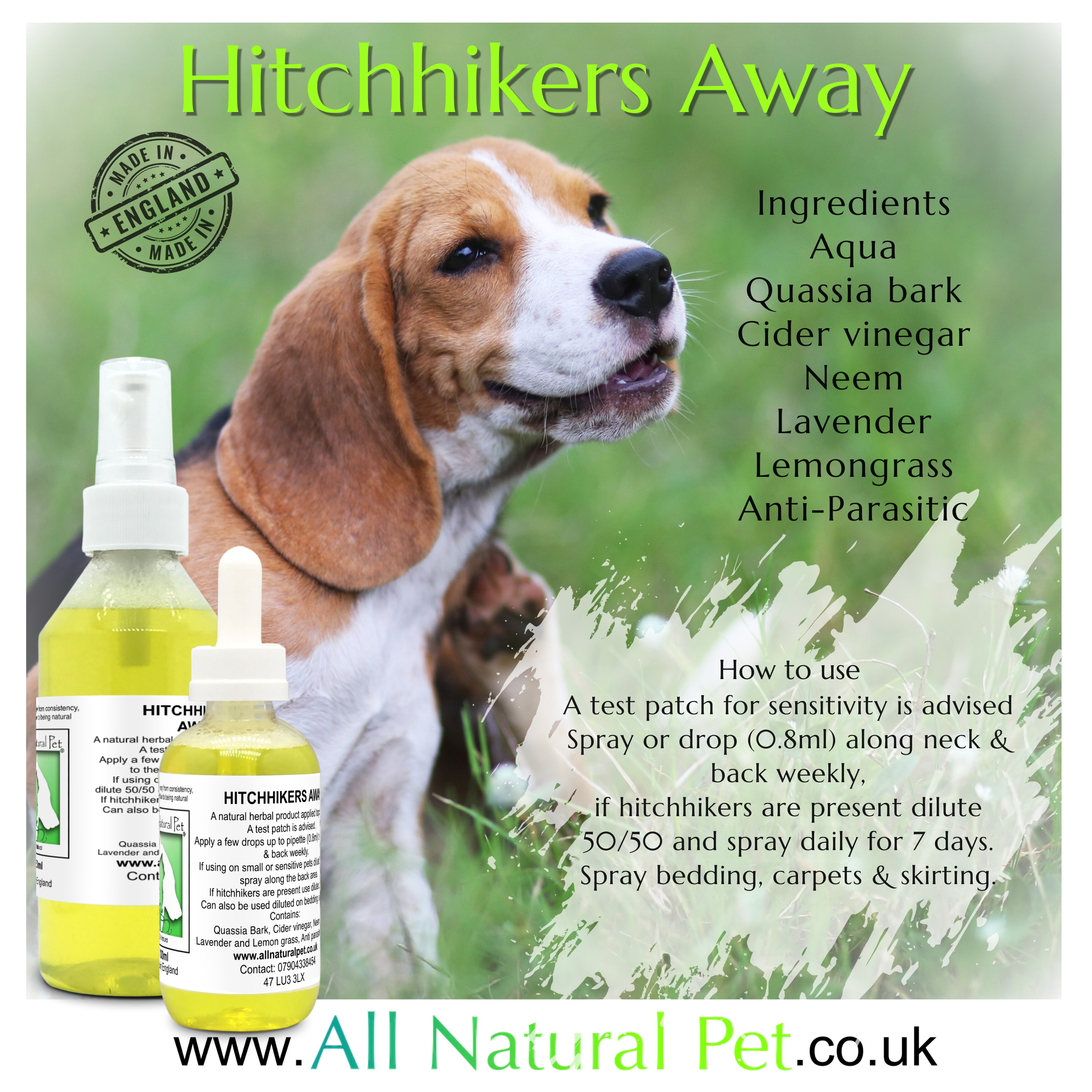 Two different size bottles of a natural flea repellent, one with a spray lid, the other with a pipette lid, infant of a beagle dog, with a green grass background