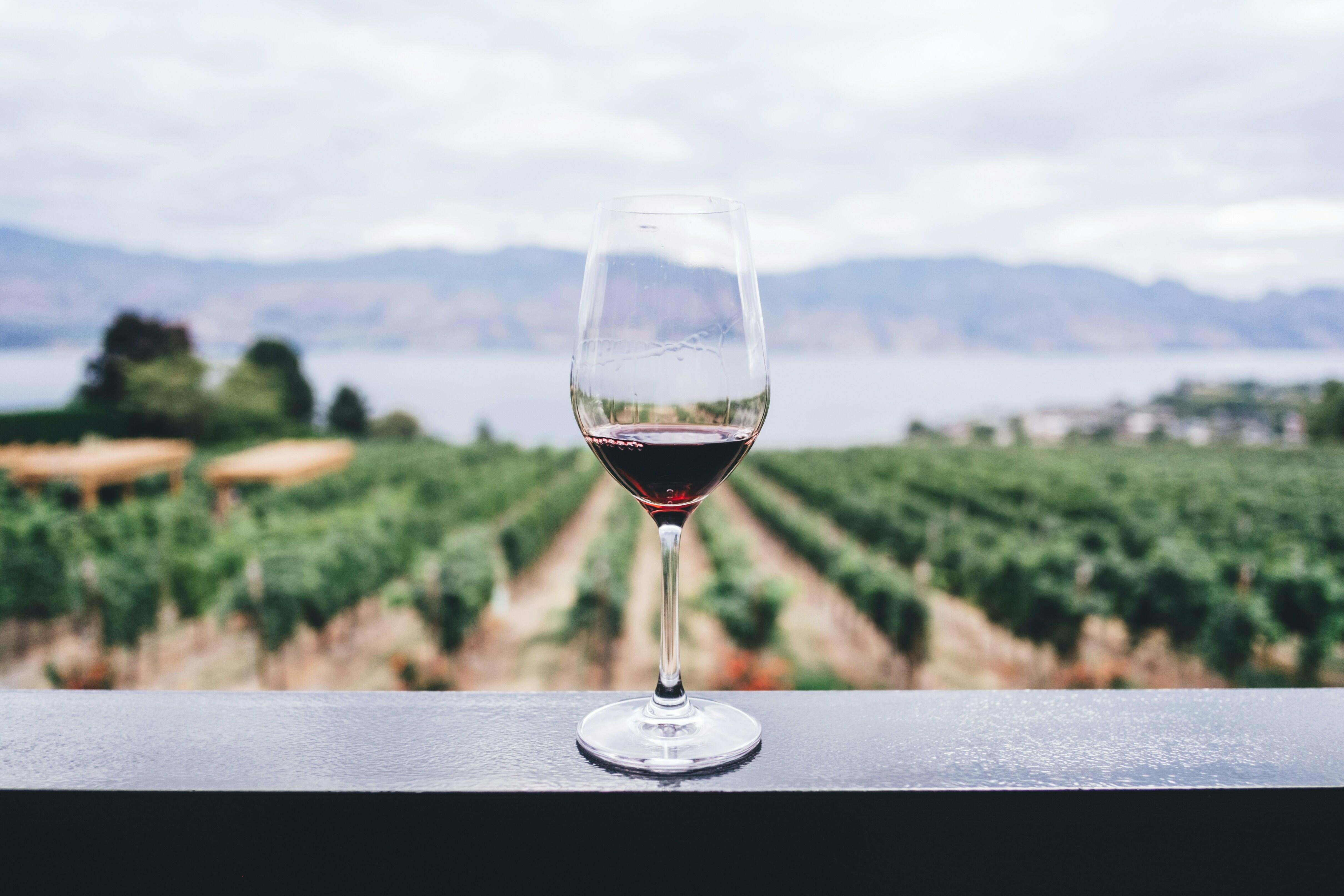 wine in a wine glass on a balcony overlooking a vineyard