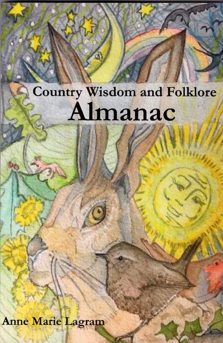 Queen Anne's Lace: Facts & Folklore - Farmers' Almanac