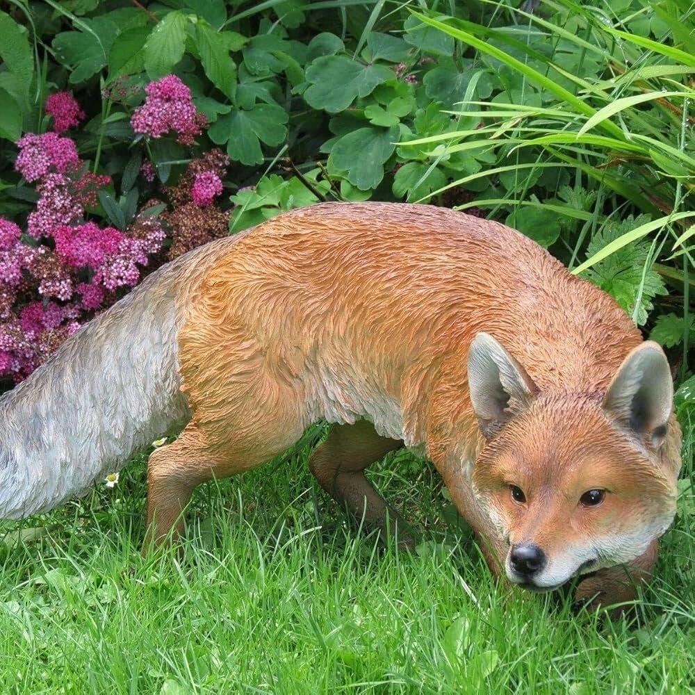 Garden & Wildlife