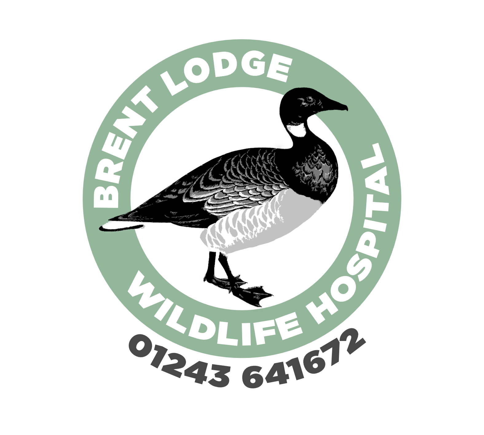 Brent Lodge Merchandise
