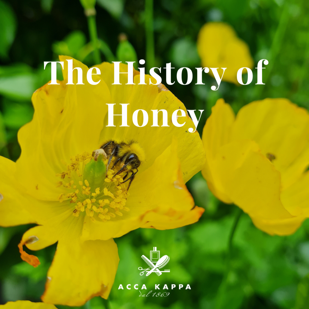 The History of Honey