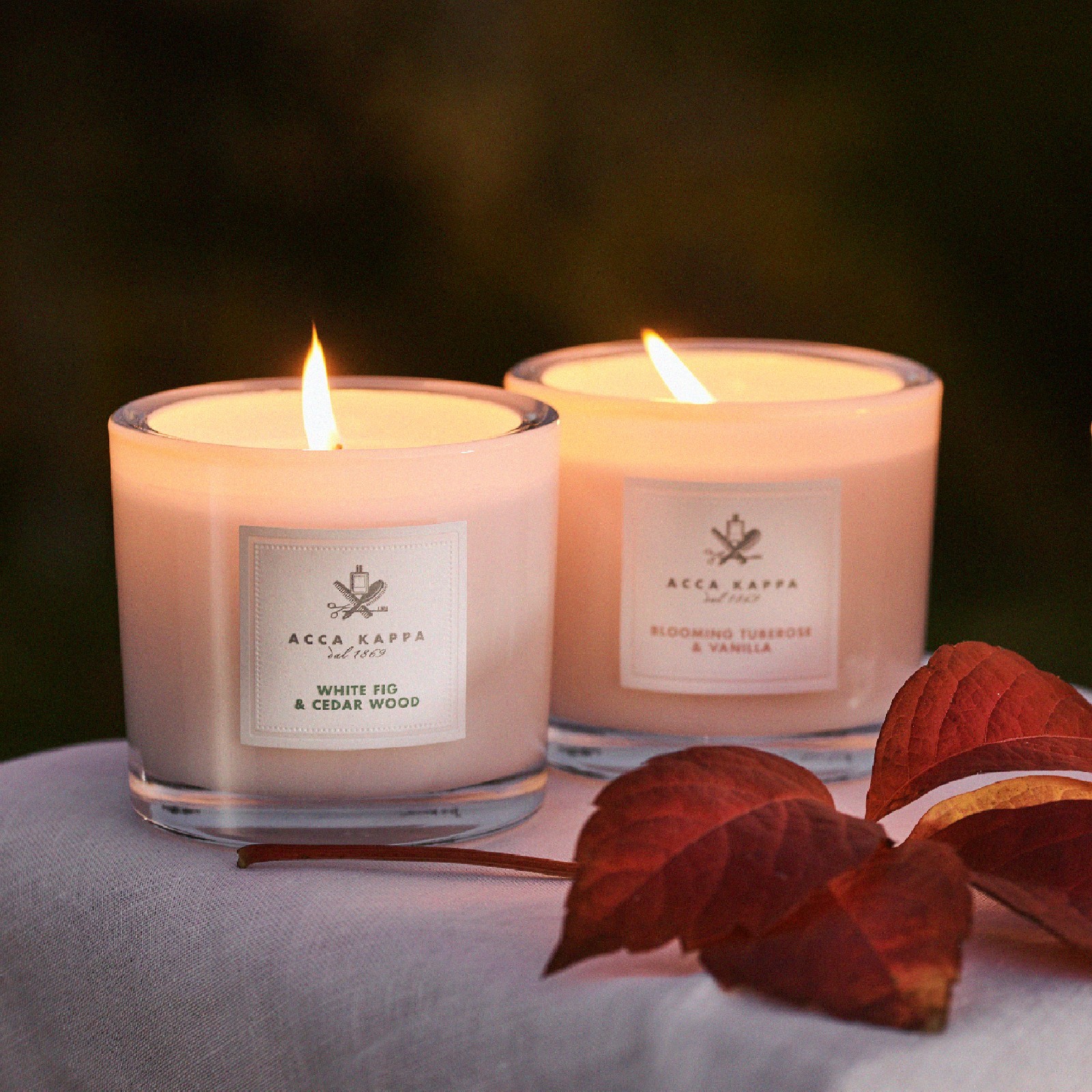 White Fig & Cedarwood Scented Candle - 180g