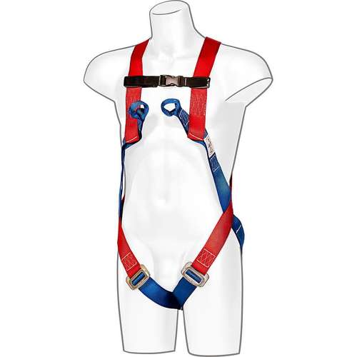 Portwest 2-Point Harness - FP12
