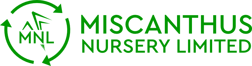 Miscanthus Nursery