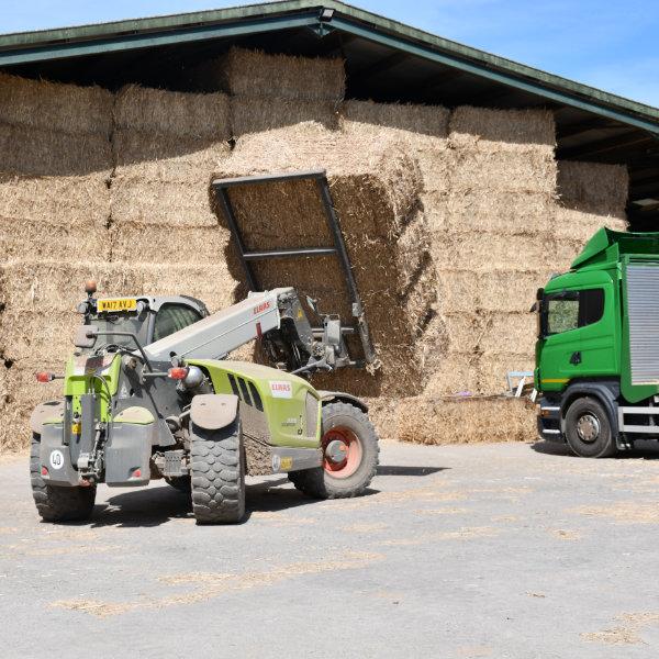 Miscanthus bales for sale - in barn