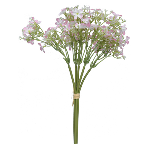 Baby's Breath - assorted colours