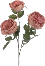 Eco Cabbage Rose Spray 70cm Light Pink