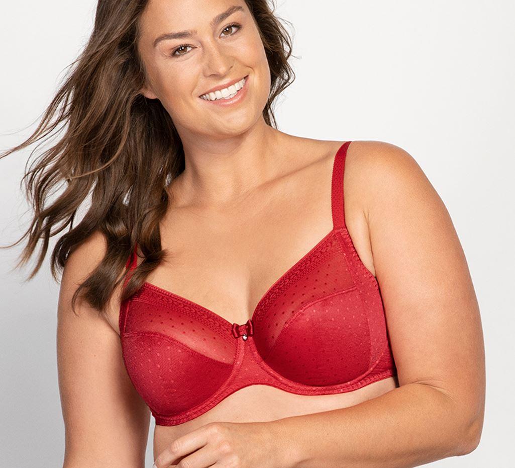 Plus Size Padded Lace Plunge Bra - Bra D'More