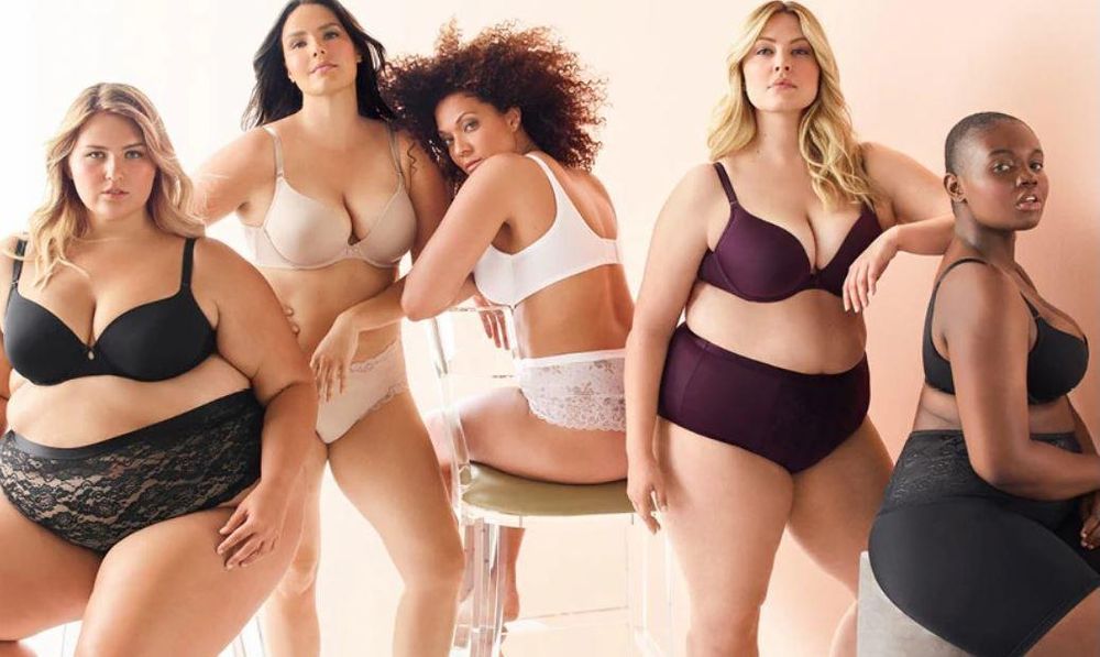 Plus Size Lingerie for the fuller figured woman. Premium brands, high