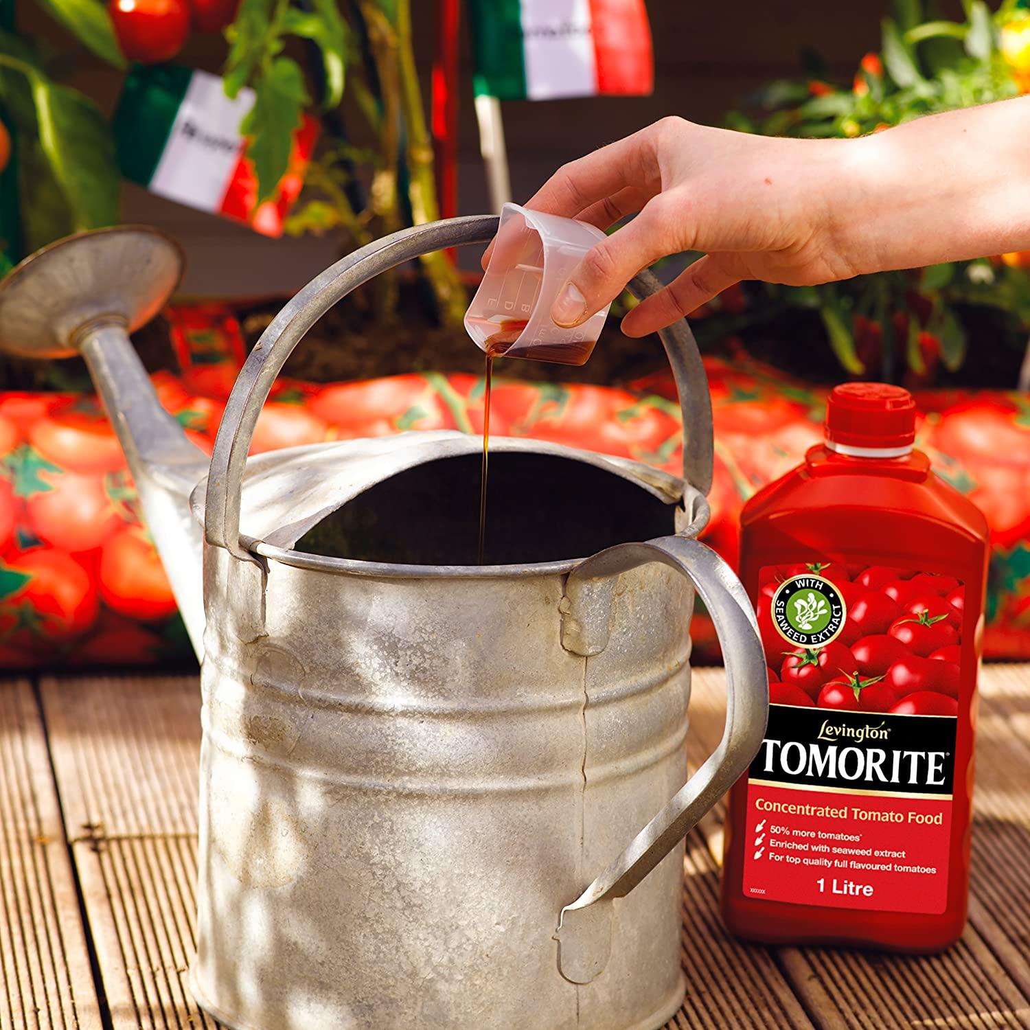 Tomorite tomato food lifestyle