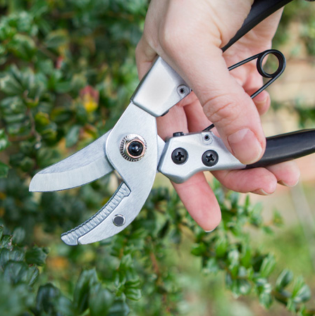 Compact anvil pruners