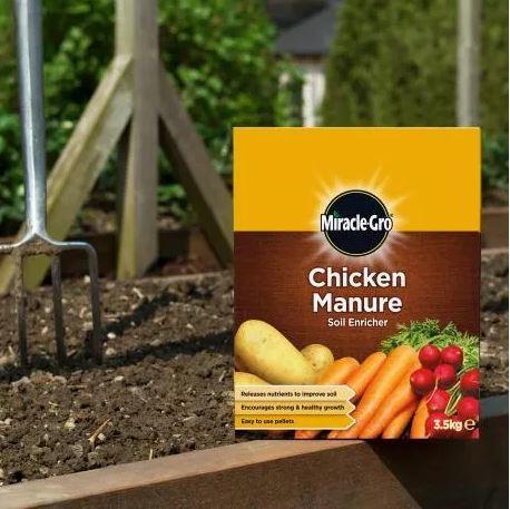 Chicken manure lifestyle