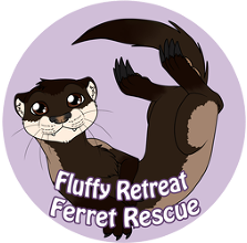 Fluffy Retreat Ferret Rescue