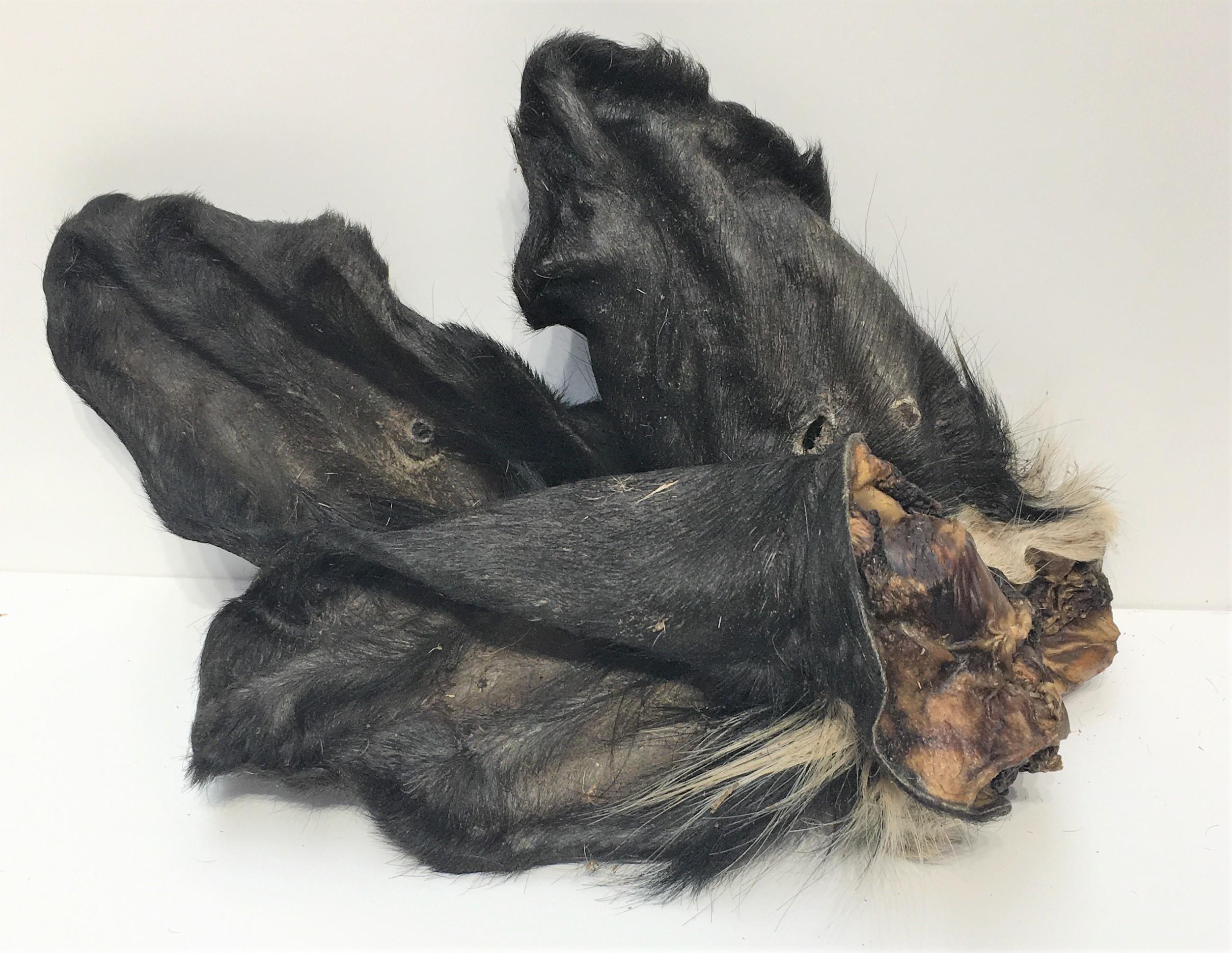 Cows Ears with Fur