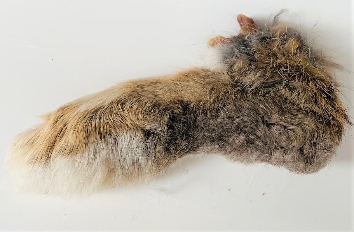 Rabbit Feet with Fur - Natural, High-Quality Dog Treat
