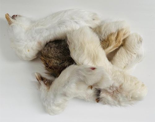 Rabbit Feet with Fur - Natural, High-Quality Dog Treat
