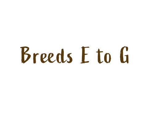 Dog Breeds E-G