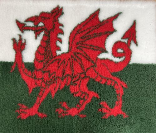 Dogeria Bedding for Dogs Rubber Backed Welsh Dragon