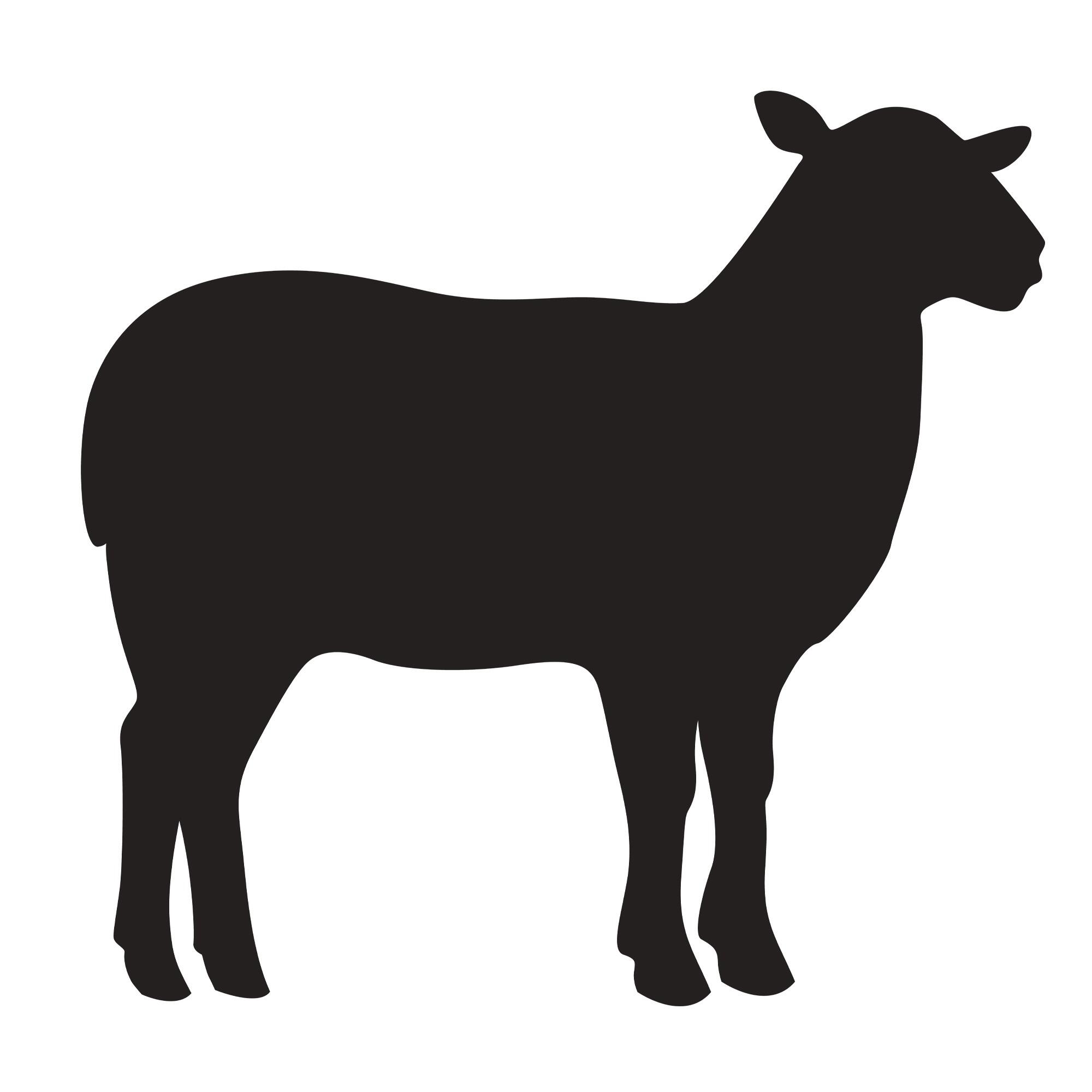 Lamb Natural Treats & Chews