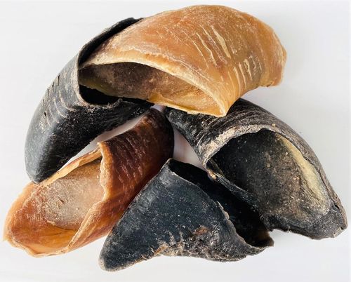 Cow Hooves: Affordable, Long-Lasting Natural Dog Treats