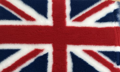 Dogeria Bedding for Dogs Rubber Backed Union Jack