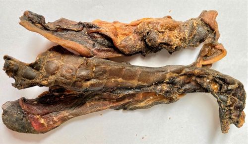 Beef Scalp Chews (Ultra Hard): The Ultimate Long-Lasting Natural Chew for Dogs