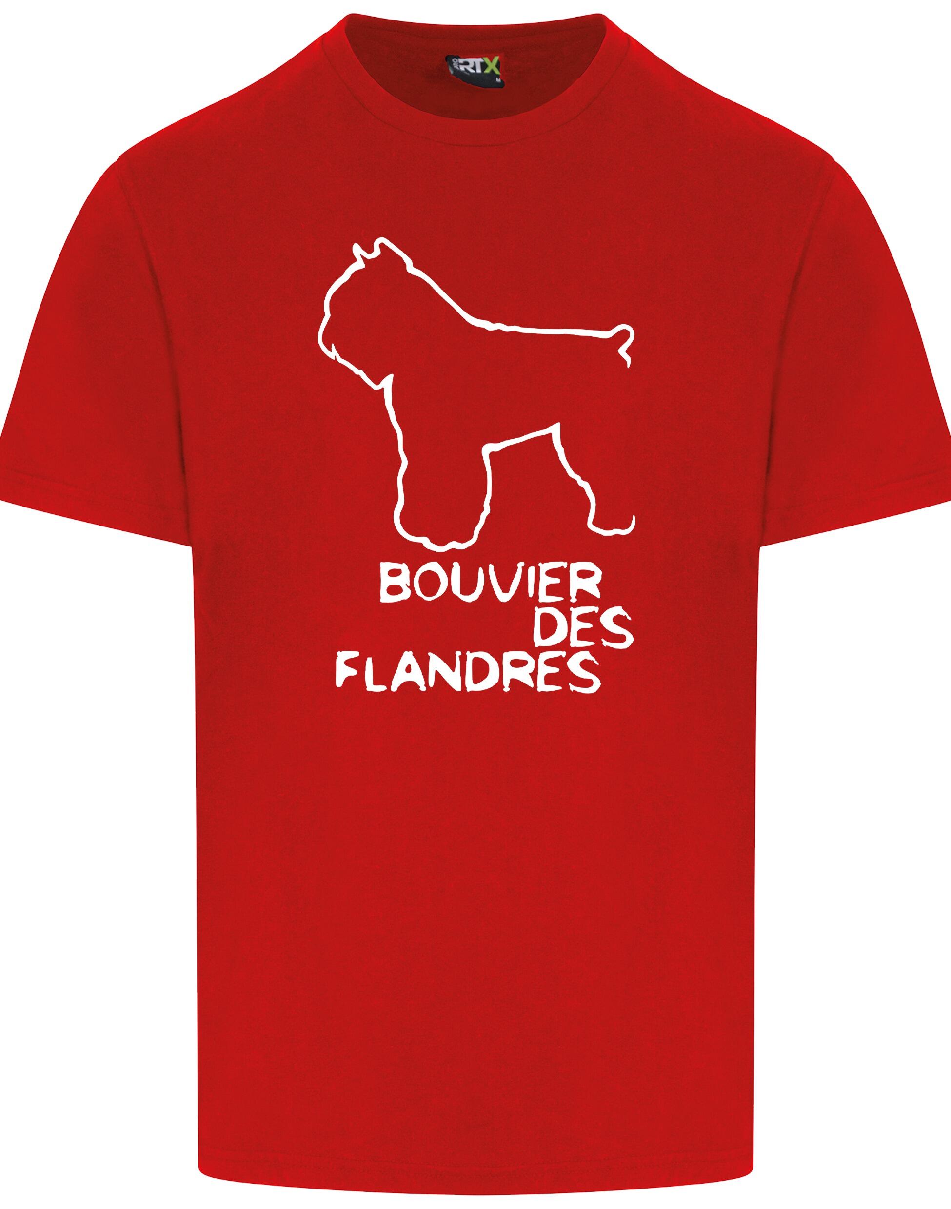 Bouvier Des Flanders Canvas Shoe Bouvier Des Flanders Canvas Shoe