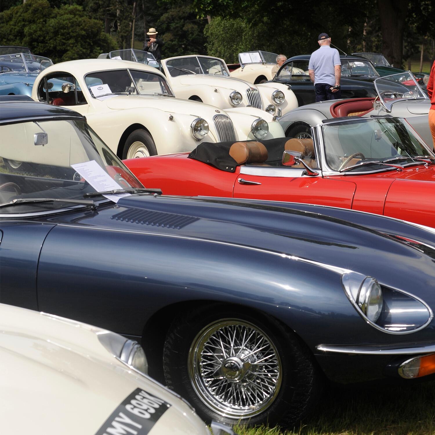 Jaguar E-types and XK's