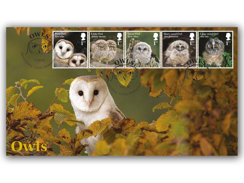 Celebrating British Owls - Adult Barn Owl with Owlet Stamps Alternative Cover