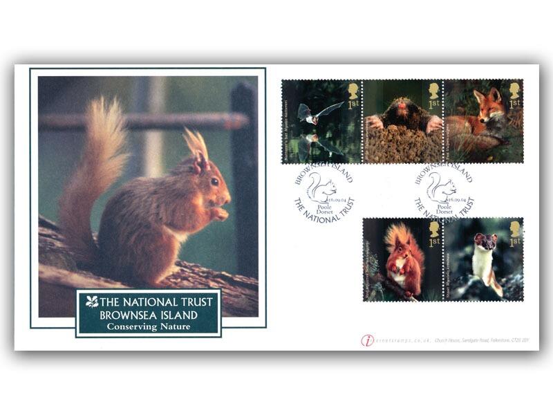 Woodland Animals - Brownsea Island Red Squirrel