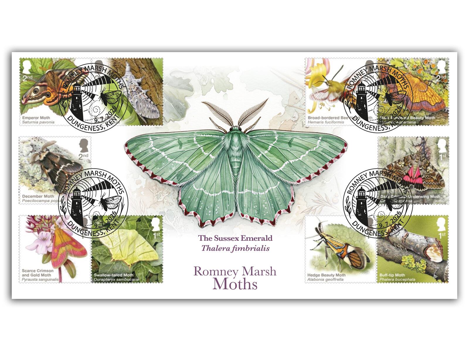 Moths | The Sussex Emerald Moth