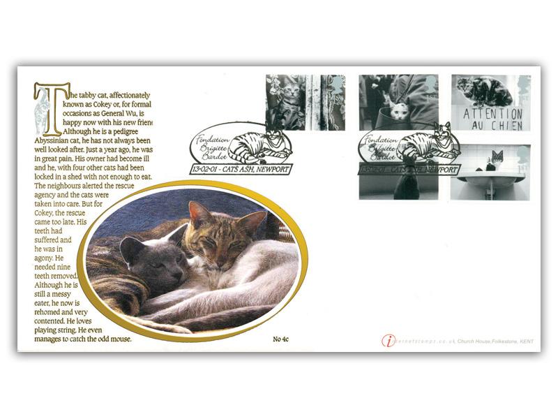Cats & Dogs, Brigitte Bardot Foundation - Cats