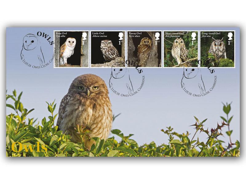 Celebrating British Owls - Little Owl with Adult Owl Stamps Alternative Cover