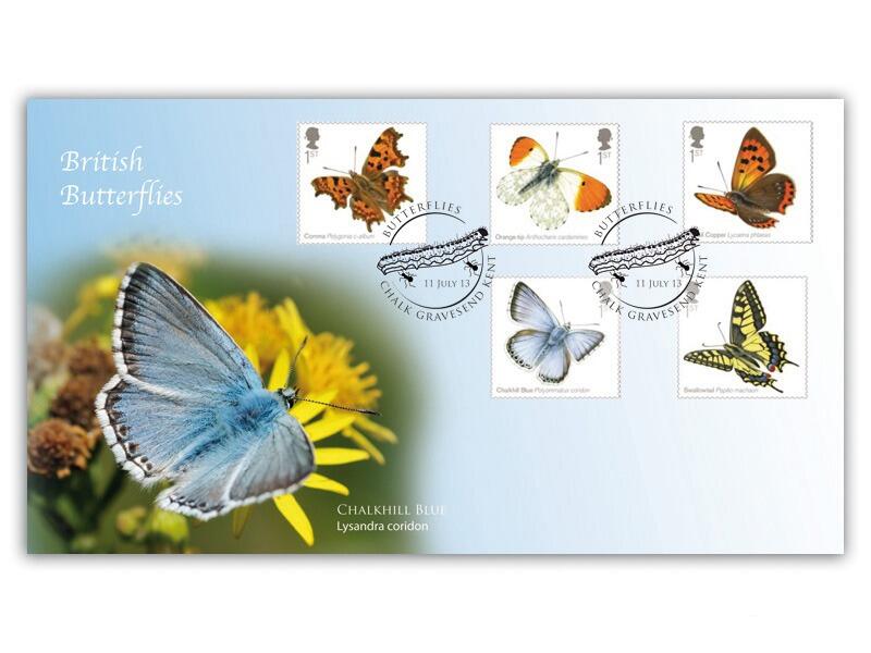 Butterflies - The Chalkhill Blue