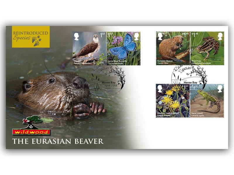 Reintroduced Species, Eurasian Beaver
